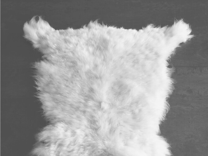 Sheepskin Rug